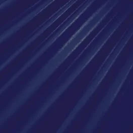 Navy Wet Look