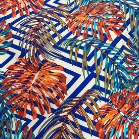 Fancy Palms