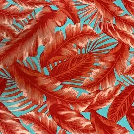 Coral Palms